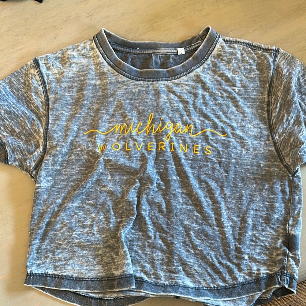 Michigan wolverines crop tee